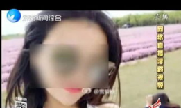 妖精成人短视频,奇幻变身之旅