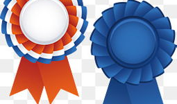 漫画勋章,漫画中的荣耀与成长